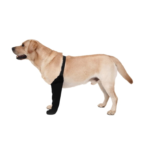 Adjustable Dog Knee Brace with Stabilizers - ACL/CCL Pain Relief & Recovery Support | Breathable Neoprene Brace Universal Fit for Front & Back Legs | For Dogs Post-Surgery & Daily Care