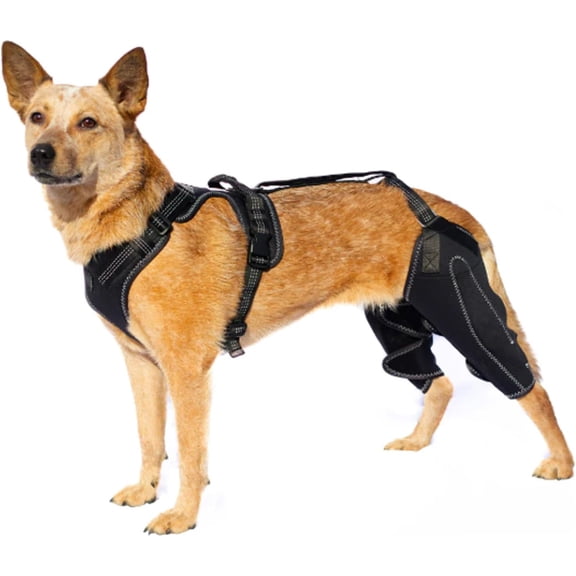 Adjustable Dog Leg Brace for Hind Leg, Non-Slip Knee Support for ACL Recovery, Hip Joint Stabilizer for Rear Legs, Pain Relief & Mobility Aid for Dogs