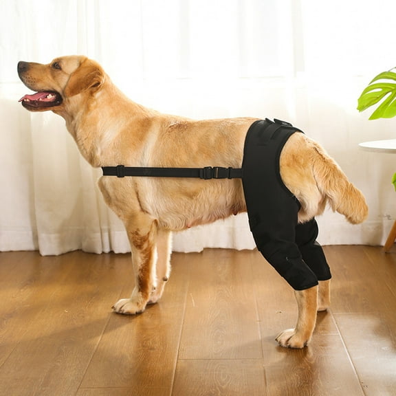 Adjustable Dog Leg Brace – Knee & Hock Support for Large Dogs with Neoprene Compression & Fuzzy Fasteners (Extra-Large, Injury Recovery)