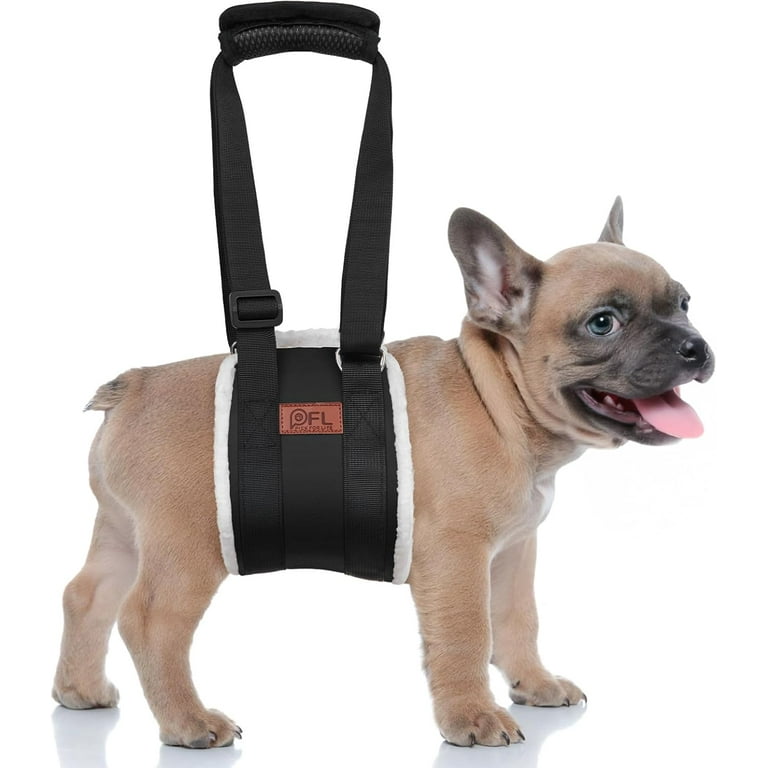Dog Lift Support Harness - Rear Leg Sling For Senior Injured Dogs After Surgery