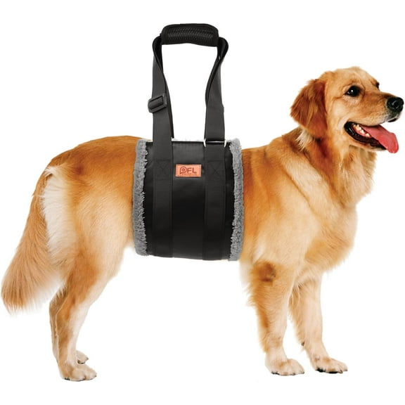 Adjustable Dog Lift Harness, Dog Sling for Large Dogs Lift Support and Rehab Harness for Weak Rear Legs, Soft Hind Leg Support Helps Senior, Injured, Disabled and After ACL Surgery Dogs(Black,Small)