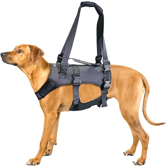 Adjustable Dog Lift Harness Full Body Support Sling with Handles, Mobility Aid Recovery Vest for Senior Dogs, Arthritis Joint Injuries, Back Leg Support (Small Size)