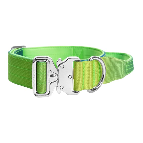 Adjustable Dog Strategic Collar For Strength And Comfort During Daily Exercise And Adventures Walking Training Essential