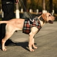 thumbnail image 1 of Adjustable Dog Support Harness for Front and Rear Legs Lifting Rehabilitation Vest for Old Dogs with Disabilities Pet Supplies (S2,L for 20-30kg), 1 of 7