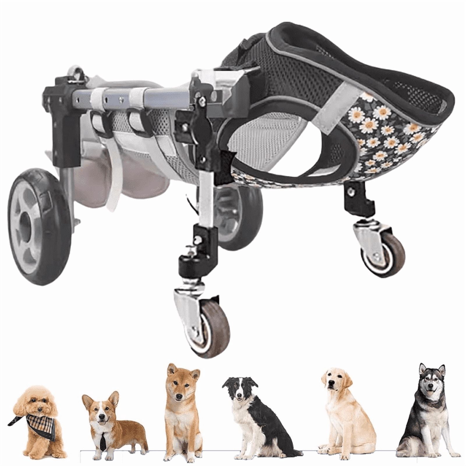 Picture Idea: Adjustable Dog Wheelchair For Small Medium And Large Pets With