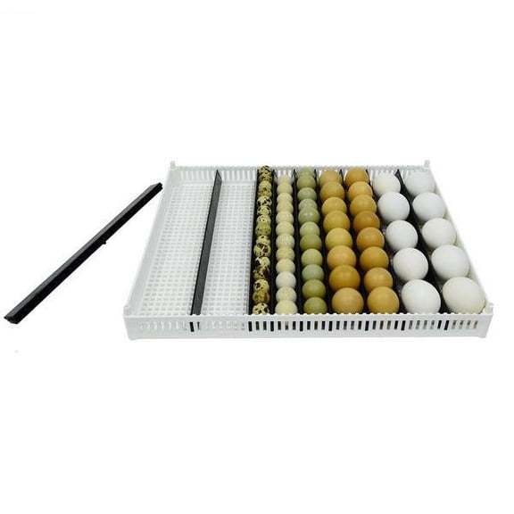 Adjustable Egg Setter Tray, Adjustable Separators Fit Chicken, Quail, Goose, Duck, Turkey, Pheasant, and Partridge Eggs, Washable, Easy To Clean ABS Plastic, Cimuka, Fits Hatching Time T Incubators