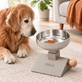 Adjustable Elevated Pet Bowl, Latte, 3 Height Settings for Small to ...