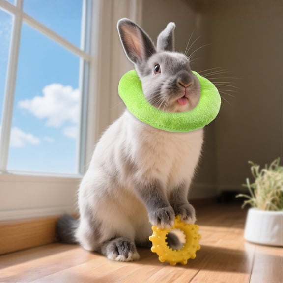 Adjustable Elizabeth Collar for Small -Lick - Recovery Collar for Bird Hamster Guinea Pig(L,Green)