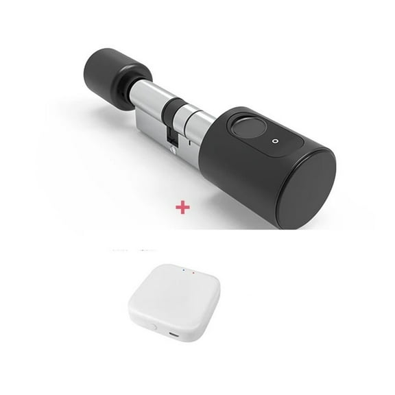 Adjustable Euro Cylinder Smart Lock Tuya BLE Finrprint IC Card Keys Phone App Home Electronic Door Lock Core Digital Keyless ,Flexible Password Options