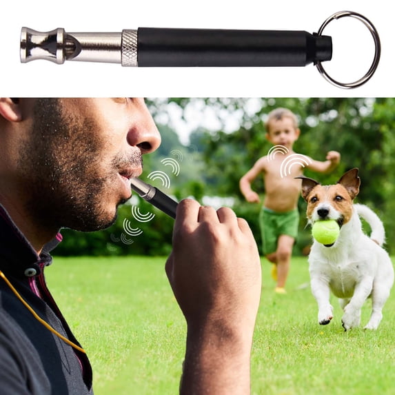 Adjustable Frequency Stainless Steel Dog Training Whistle, Silent Control Flute for Stop Barking, Remote Command Device for All Dog Breeds, Pet Obedience
