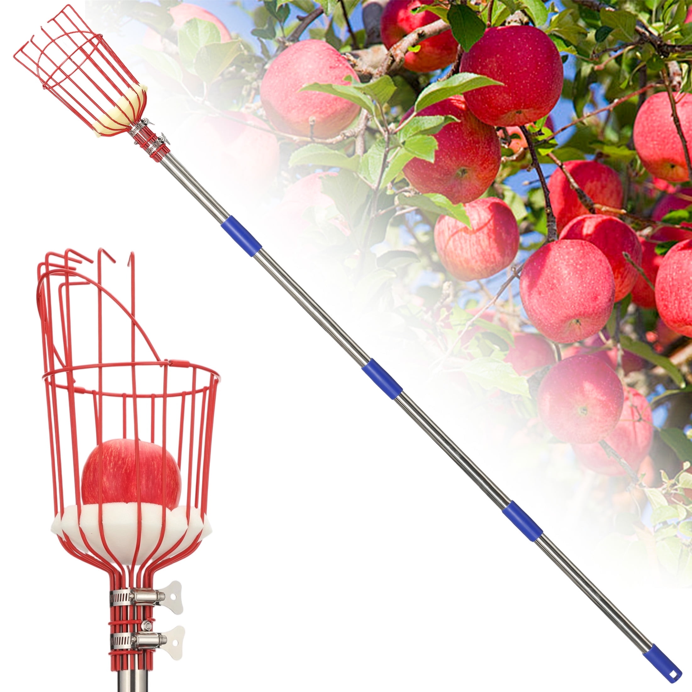 FENHRTVM Fruit Picker 6.5ft Adjustable Lightweight Fruit Picker Pole with Basket , Pick Avocado Apple Mango Grabber ,Stainless Steel Handle Sliver