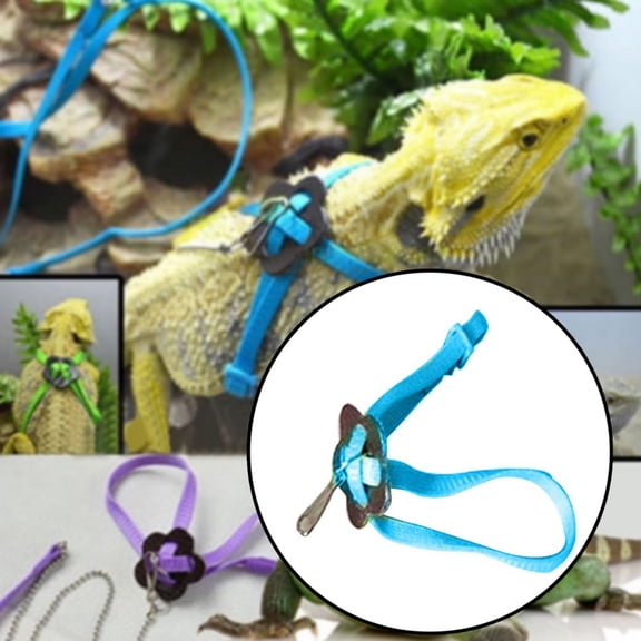 Adjustable Harness with Leash for Mini Pig Ferret Rabbit Dog Cat Small Animals