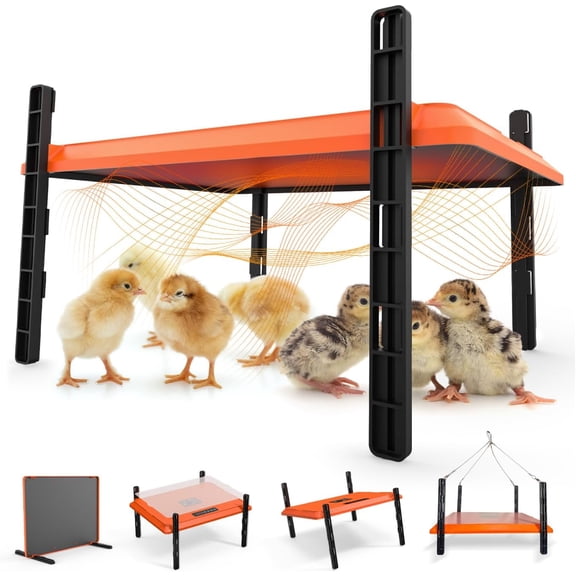 Adjustable Heat Plate for 20 Chicks, 12x16 Inches, 75W IPX4 Waterproof UL-Certified Brooder with Timer Height & Angle Control