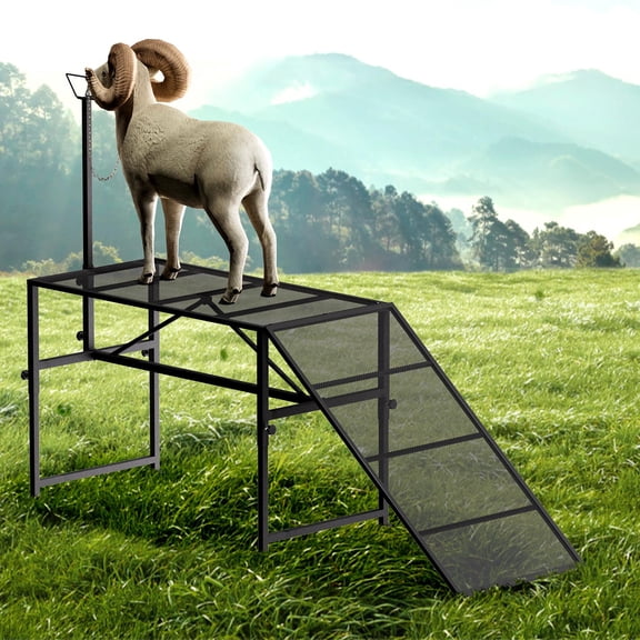 Adjustable Height Livestock Trimming Stand with Ramp, Goat Milking & Shearing Stand with Headpiece and Nose Loop, Heavy-Duty Metal Sheep Goat Grooming Platform, 500 LBS Capacity
