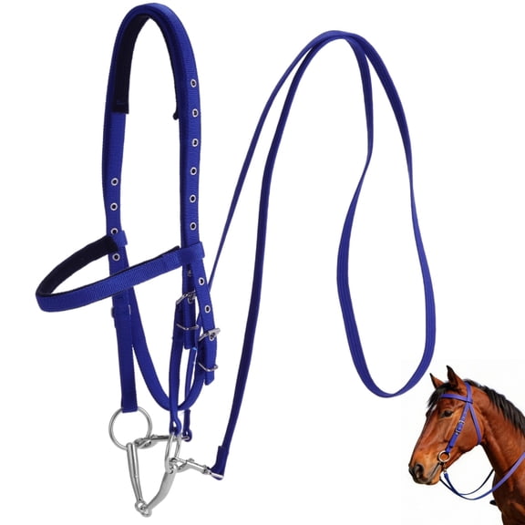 Adjustable Horse Bridle with Bit, Large Nylon Horse Headstall Reins, Riding Bridle with Padded Crown and Noseband, Quick Release Buckle for Horses Over 4.3 ft Shoulder Height, Blue