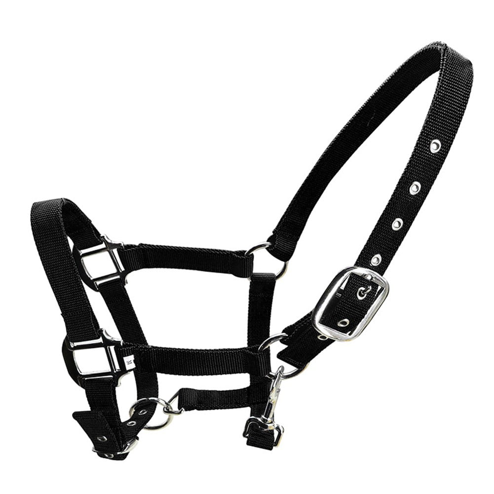 Adjustable Horse Halters Heavy 1” Pp bing Overlay HeavyDuty