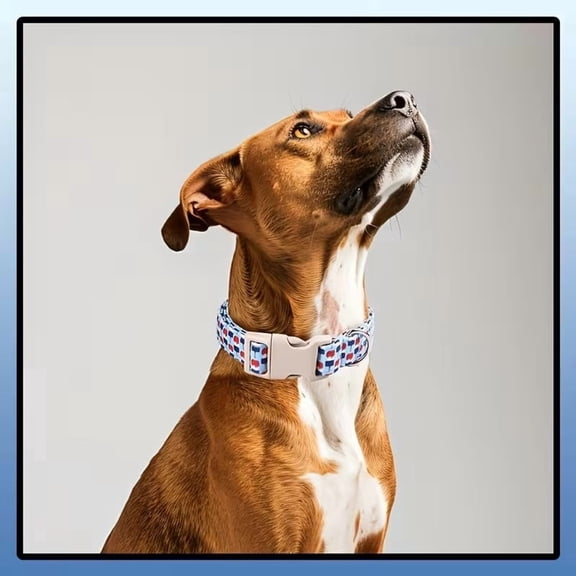 Adjustable Ice Pop Pattern Dog Collar - Summer Comfort for All Breeds