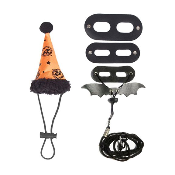 Adjustable Leash Set Bearded Dragon Harness Halloween Costume Hat 3 Sizes Soft Leather Vest Wing Decoration