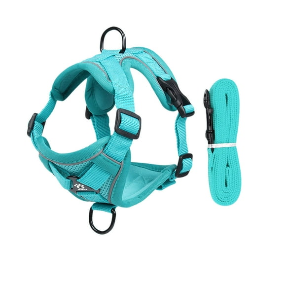 Adjustable Mesh Cat Harness and Leg Vest for Secure Indoor Pet and Comfortable Movement Control