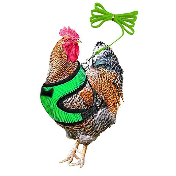 Adjustable Mesh Chicken Leash Pet Harness for Ducks Outdoor Walking Control Poultry Training Soft Nylon Rope with Clasp for Hens Pet Safety