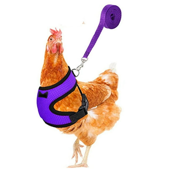 Adjustable Mesh Chicken Leash Pet Harness for Ducks Outdoor Walking Control Poultry Training Soft Nylon Rope with Clasp for Hens Pet Safety