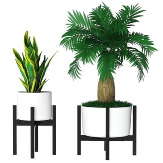 Cat Proof Plant Stand