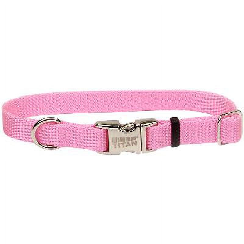 Adjustable Nlyon 1" Dog Collar W/Titan Metal BucklePink, Neck Size 14