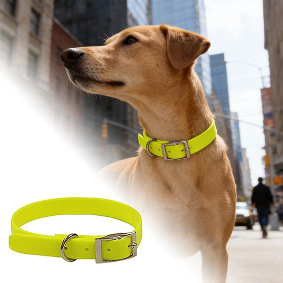 Adjustable Nylon Collar for Cats and Dogs with Strong Double Clasps and D-Shaped Rings Coated Chew- Pet Neckwear for Indoor Outdoor Use