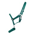 thumbnail image 1 of Adjustable Nylon Halter w/ 8 1/2' Removable Lead Rope (Teal), 1 of 1