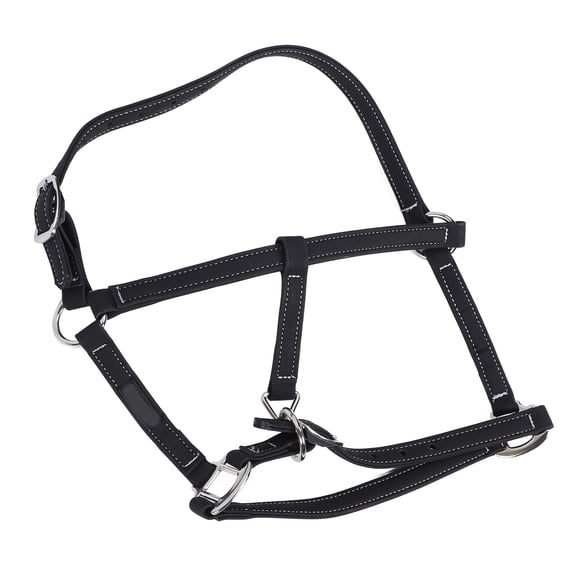 Adjustable Nylon Horse Bridle Snug Fit Headstall Equestrian Training Rein Accessory, M Size (Fit for 3.6-4.3ft / 110-130 cm)