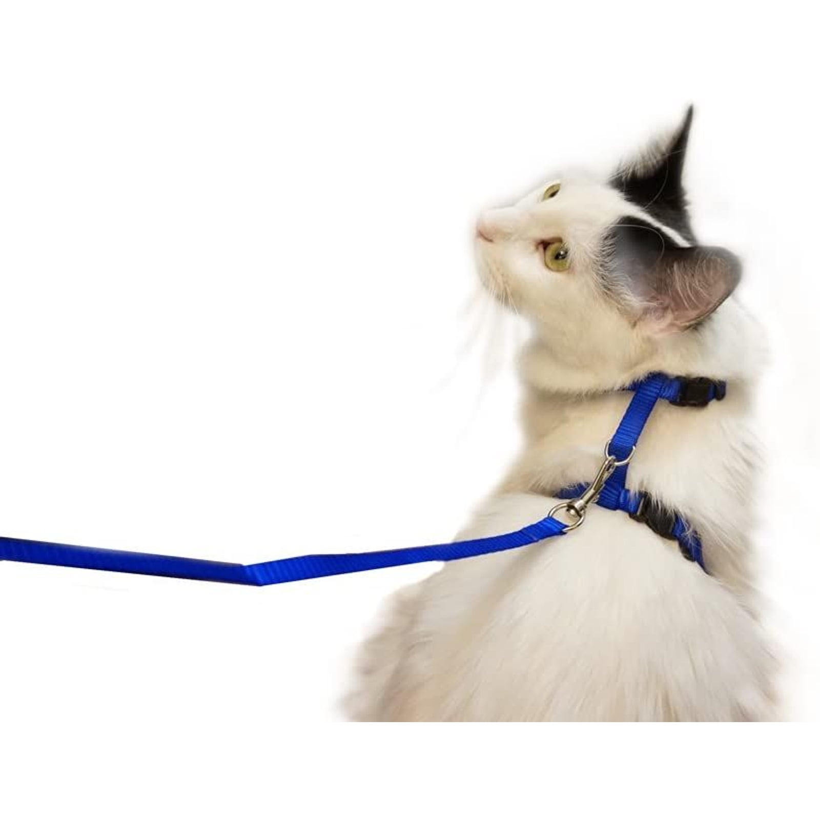 Adjustable Nylon Pet Harness Collar and Leash for Cats and Small Dogs, Navy Blue