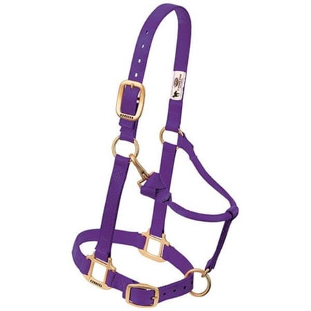 Weaver Leather Adjustable Nylon Foal & Arabian Halter - 3/4" Width Purple / Weanling