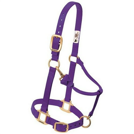 Weaver Leather Adjustable Nylon Foal & Arabian Halter - 3/4" Width Purple / Arabian