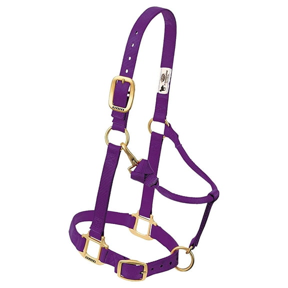 Weaver Leather Horse Halter: Adjustable Nylon for Comfort & Durability Purple / Yearling