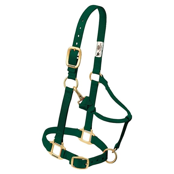 Weaver Leather Horse Halter: Adjustable Nylon for Comfort & Durability Hunter Green / Yearling