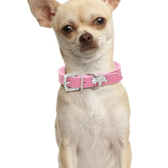 Adjustable PU Leather Pet Choker Collar for Small Dogs and Puppies Comfortable Training Neck Strap