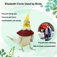 thumbnail image 1 of Adjustable Parrot Recovery Collar Anti-Biting Injury Protection Fastener Tape Fixing Bird Collar Pet Bird Accessory, 1 of 8