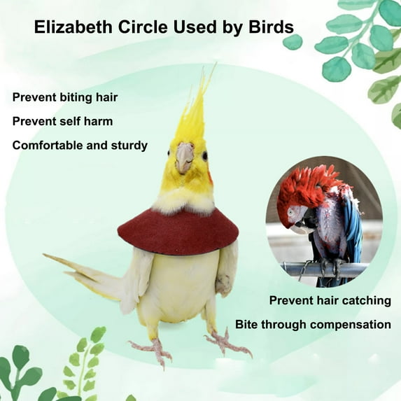 Adjustable Parrot Recovery Collar Anti-Biting Injury Protection Fastener Tape Fixing Bird Collar Pet Bird Accessory