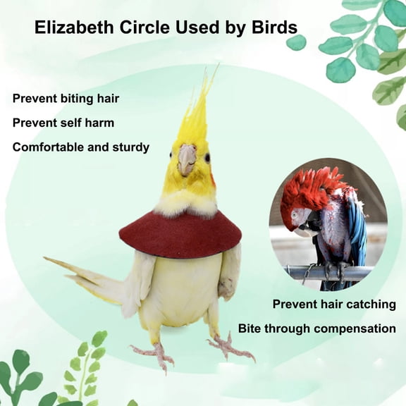 Adjustable Parrot Recovery Collar Anti-Biting Injury Protection Fastener Tape Fixing Bird Collar Pet Bird Accessory