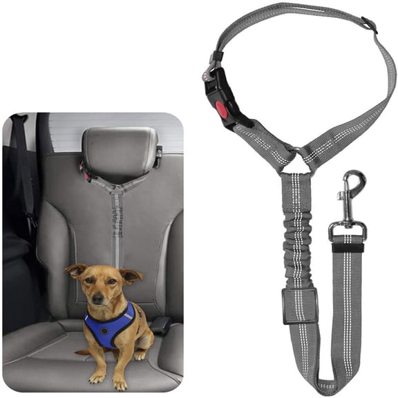 Adjustable Pet Car Safety Harness With Elastic Bungee Shock Absorber, Breathable Vehicle Travel Restraint Leash For Small Medium Large Dogs Cats Road Trip Use, Assorted Colors, 1 Pack