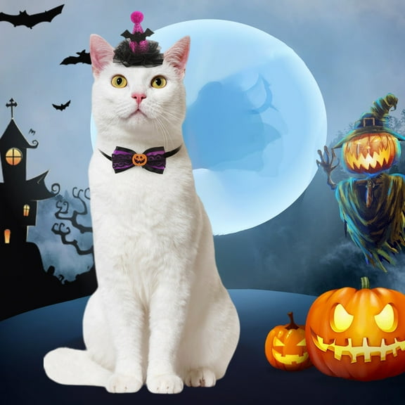 Adjustable Pet Witch Hat Costume – Cats Dogs Halloween Carnival Party Dress Accessories