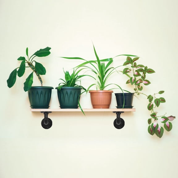 Adjustable Pipe Wall Brackets - 8pc Set for Custom Floating Displays (Photos/Pots/Art, Excludes Wood Plank)