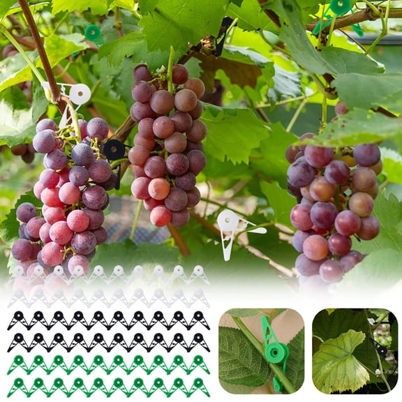 Adjustable Plant Training Clips, 60pcs Low Stress Training LST Clips for Bending Stems, 360 Rotation Plant Bender for Garden Vegetables Flowers, Reusable Plant Stem Supports for Indoor Outdoor Use