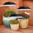 thumbnail image 1 of Adjustable Plant Umbrella for Outdoor Potted Plants - 20in Sun Shade Cover for Garden Beds, Patio Pots & Balcony Gardens - Telescopic Pole 16-45in Height (1-Pack)​(Dark), 1 of 6