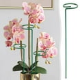 thumbnail image 1 of Adjustable Plants Support Pole, 15.8*2.6in Climbing Trellis Frame for Potted Orchids Clematis and Mini Roses, Flexible Indoor Flowerpot Stake (Green), 1 of 9