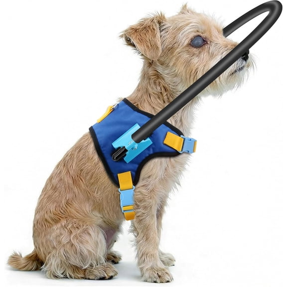 Adjustable Protective Halo Ring Harness for Blind Dogs, Safe Navigation Aid for Visually Impaired Pets (Size XS for 17-21 Inch Chest)