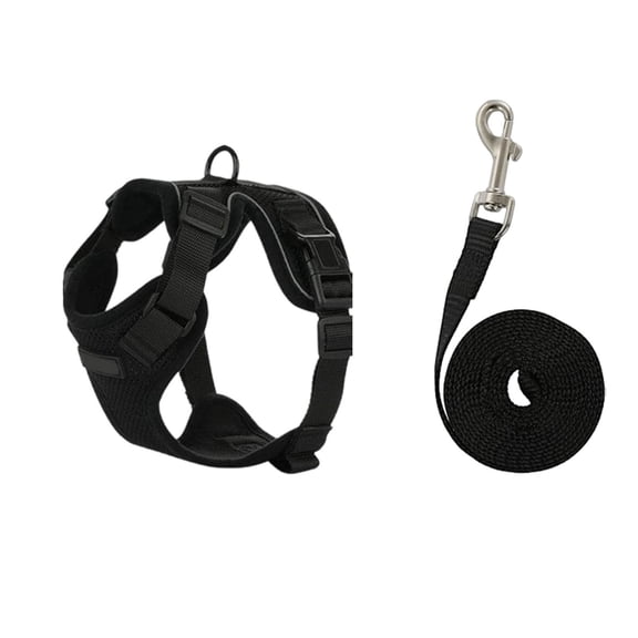 Adjustable Reflective Beam Belts for Outdoor Walking Training with Small Comfortable Assistance and Versatile Pet Use
