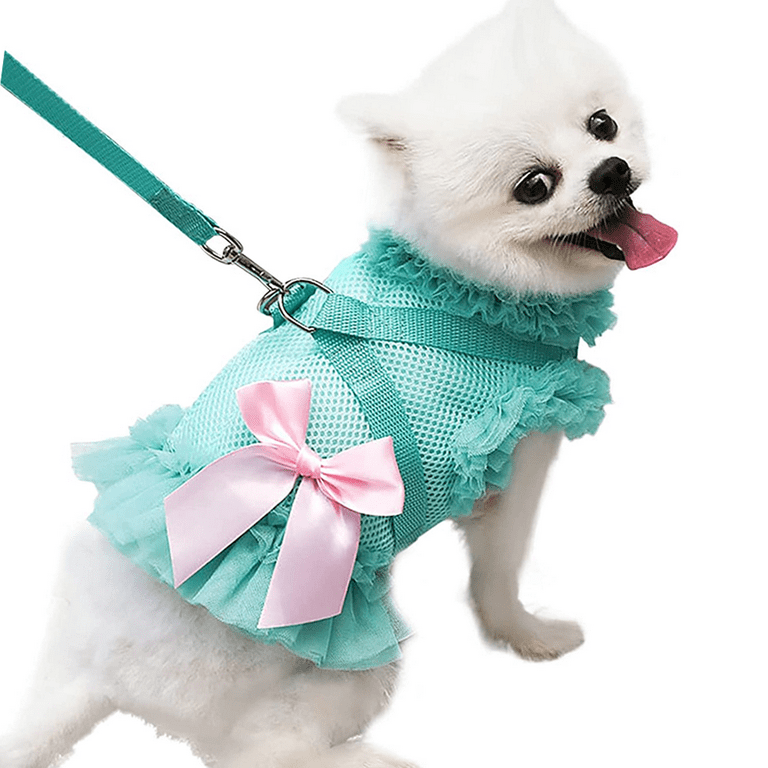 Dog harness clearance girl