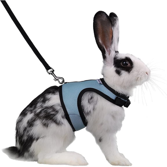 Adjustable Soft Harness with Elastic Leash for Rabbits (L, Blue)