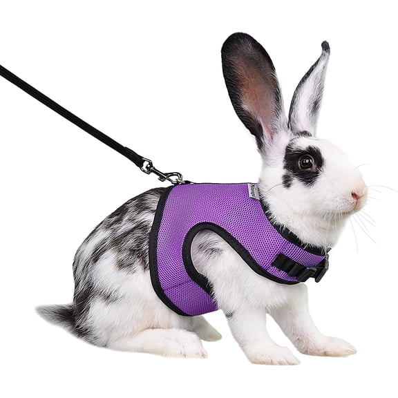 Adjustable Soft Harness with Elastic Leash for Rabbits (XL, Purple)